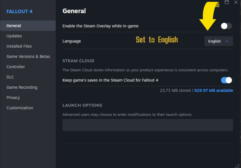 Steam Language Configuration
