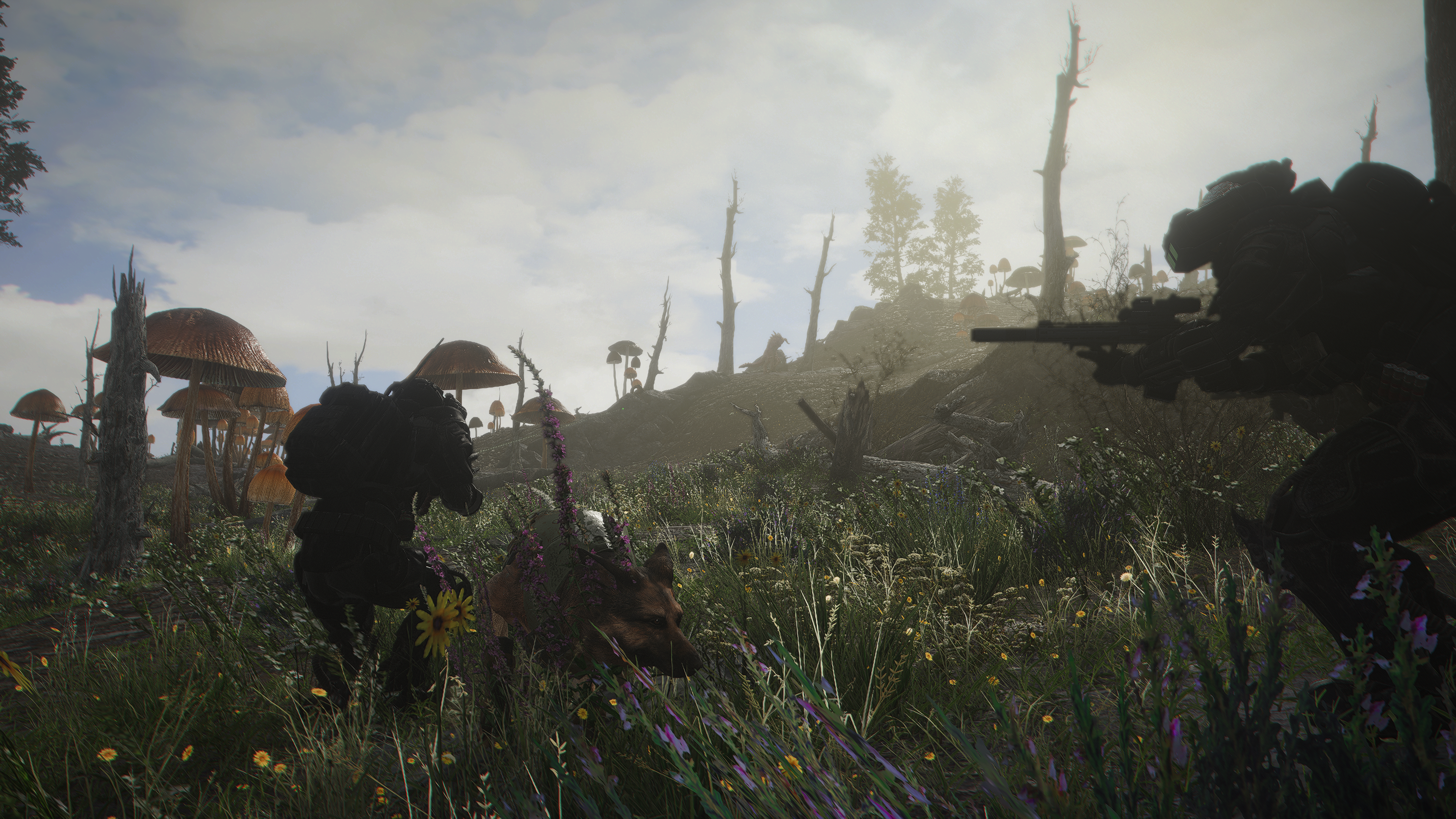 Fallout Anomaly Screenshot